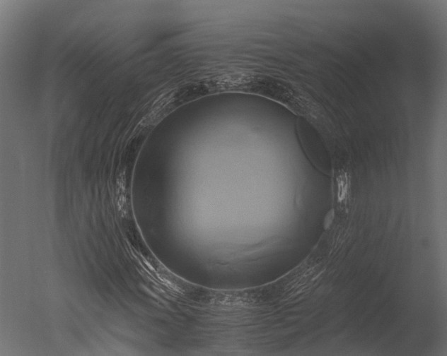 X0000050741011200506161521