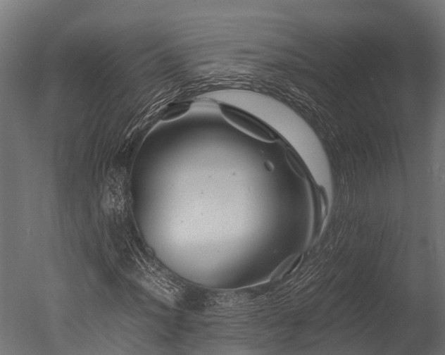 X0000050741012200506161521