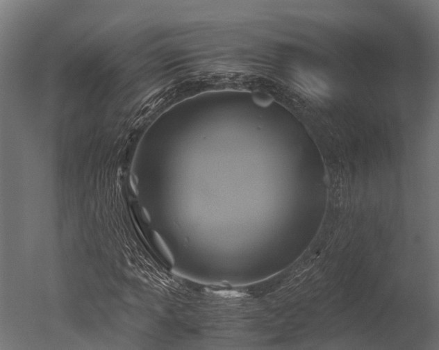 X0000050741013200506161521