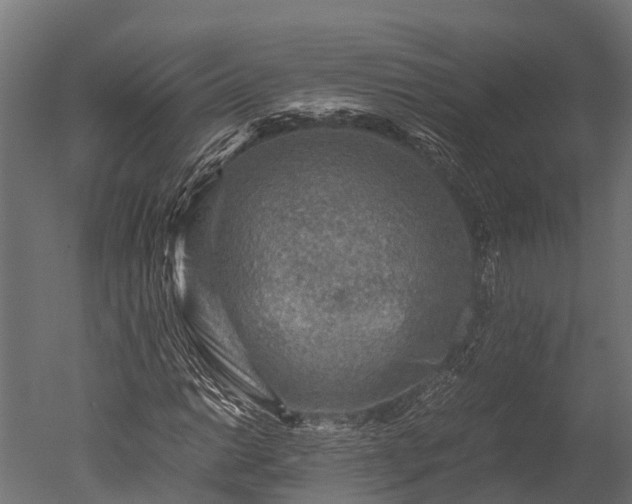 X0000050741014200506161521
