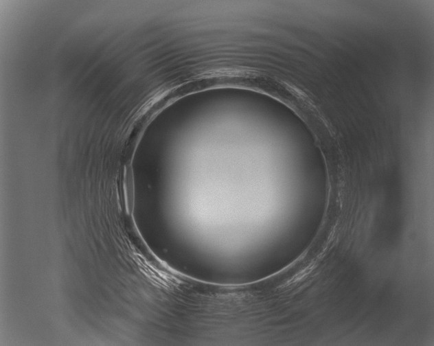 X0000050741017200506161521
