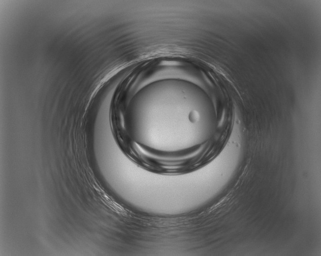 X0000050741018200506161521