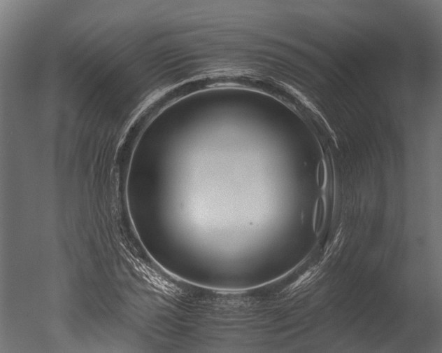 X0000050741021200506161521