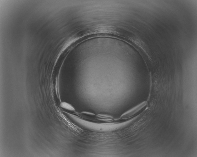 X0000050741024200506161521