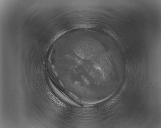X0000050741025200506161521
