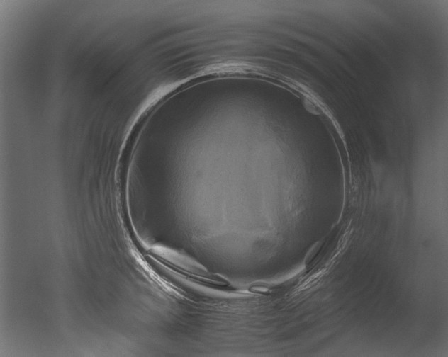 X0000050741045200506161522