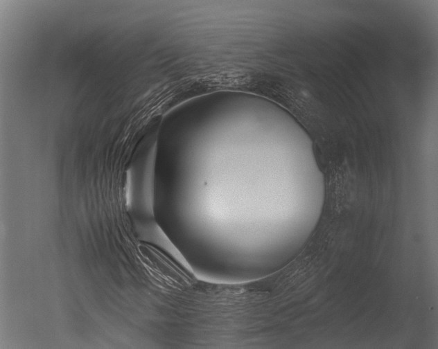 X0000050741058200506161521