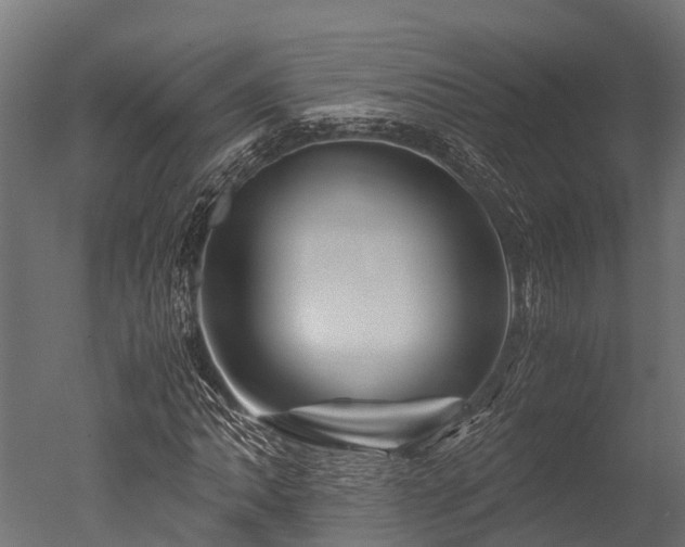X0000050741062200506161521