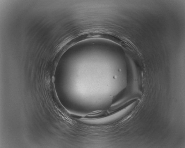 X0000050741065200506161521