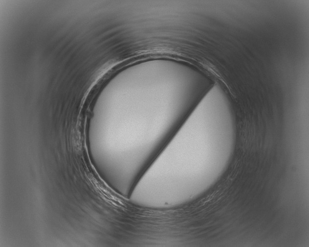 X0000050741068200506161521