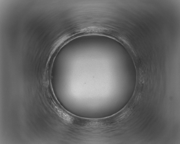 X0000050741075200506161521