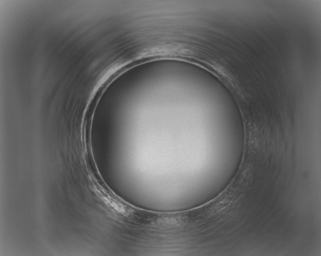 X0000050741078200506161521