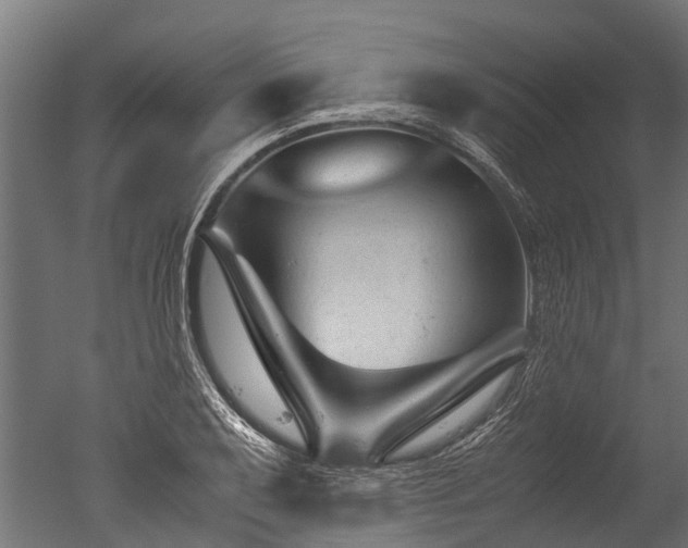 X0000050741079200506161521