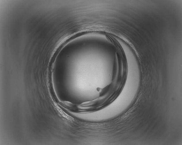 X0000050741085200506161521