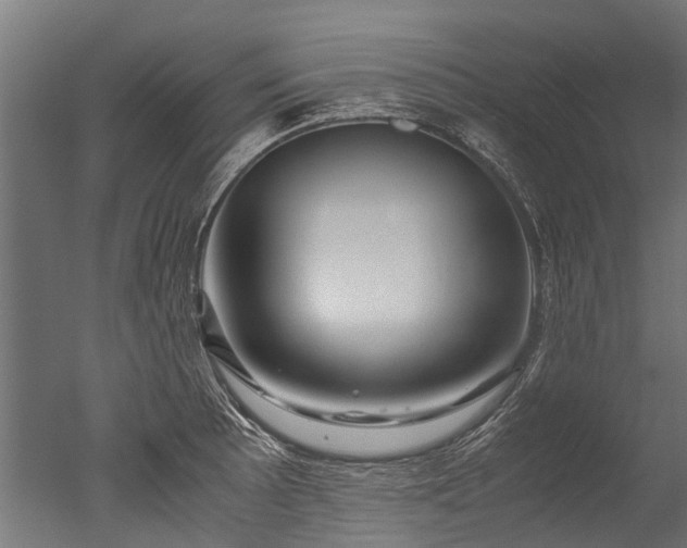 X0000050741089200506161521