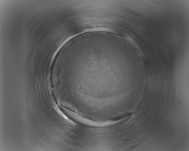 X0000050741092200506161520