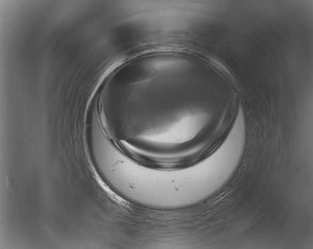 X0000050741095200506161520
