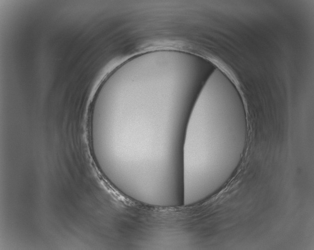 X0000050741104200506161520