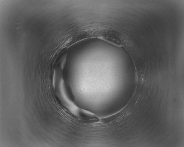 X0000050741108200506161520