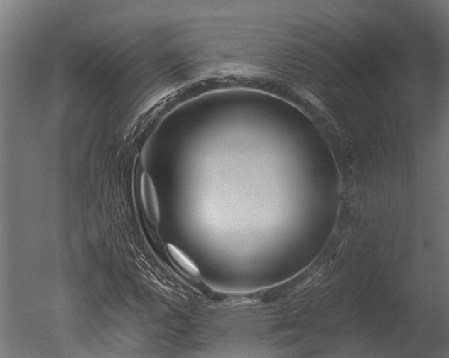 X0000050741112200506161520