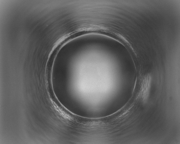 X0000050741122200506161520