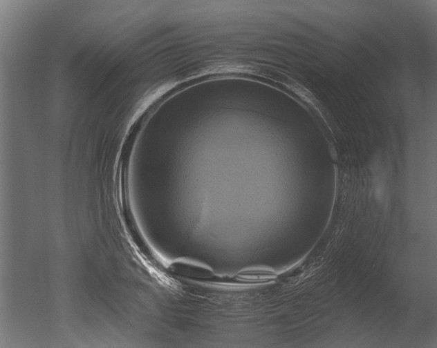 X0000050741127200506161520