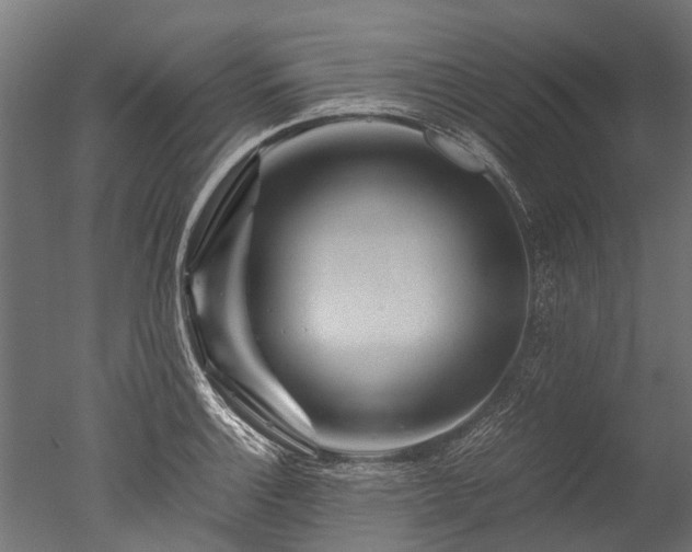 X0000050741132200506161520