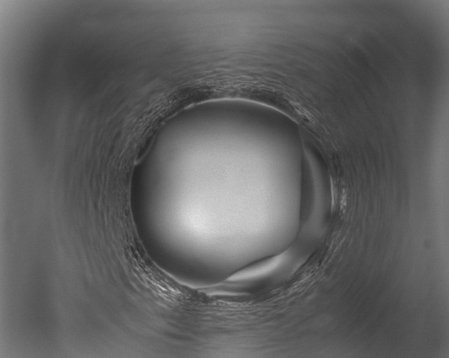 X0000050741153200506161519