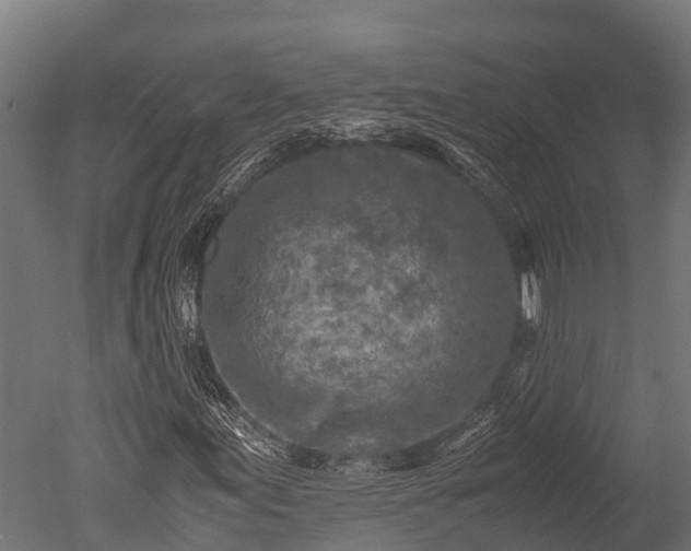X0000050741155200506161519