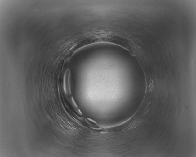 X0000050741156200506161519