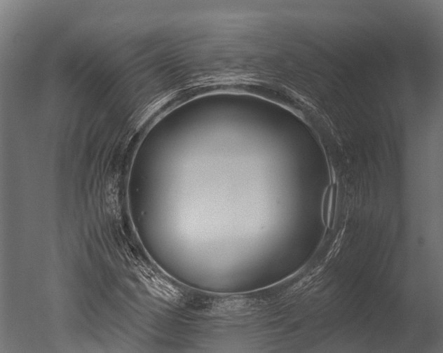 X0000050741162200506161519
