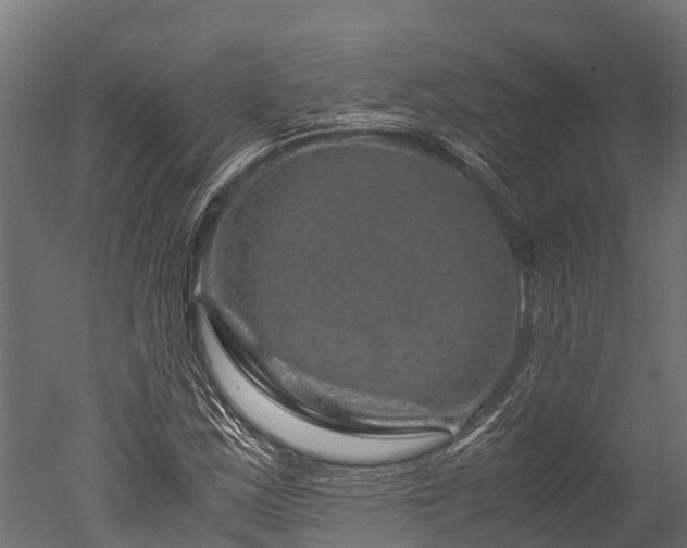 X0000050741163200506161519