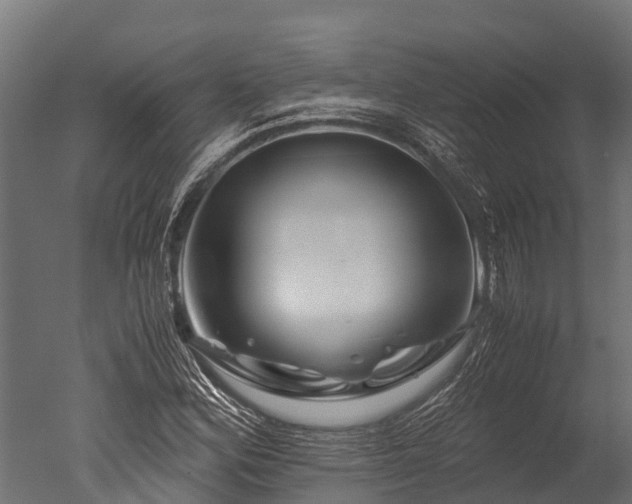 X0000050741164200506161519