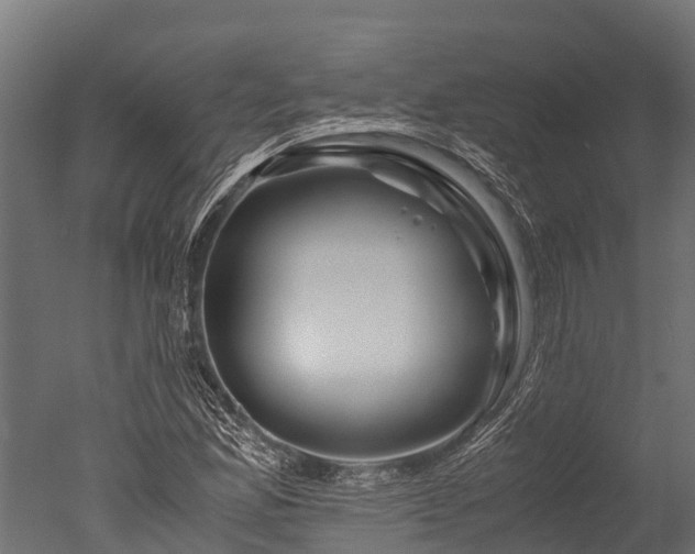 X0000050741165200506161519