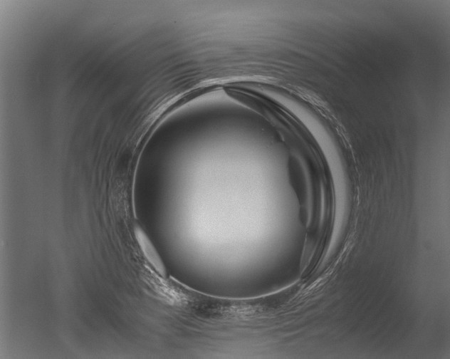 X0000050741177200506161519