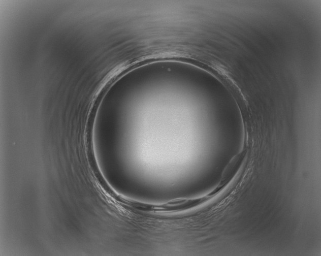 X0000050741181200506161519