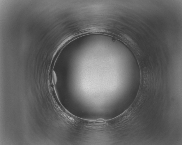 X0000050741182200506161519