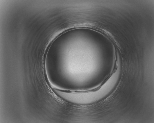 X0000050741184200506161519