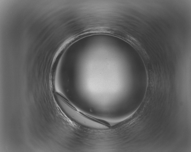 X0000050741188200506161519