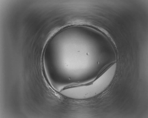 X0000050741191200506161519