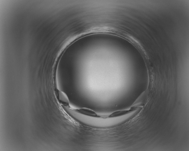 X0000050741192200506161519