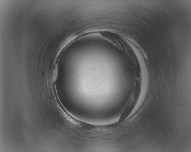 X0000050741197200506161519