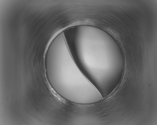 X0000050741200200506161519