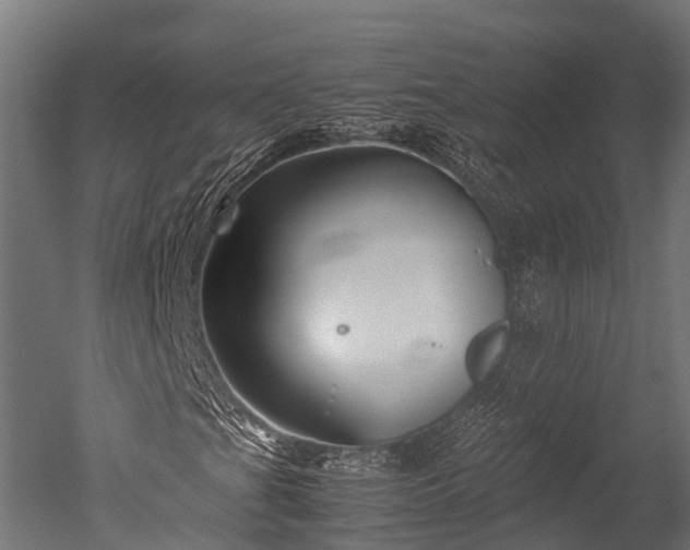X0000050741201200506161518
