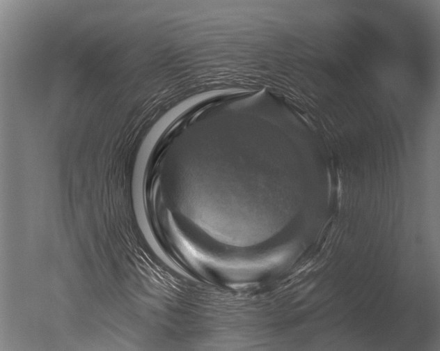 X0000050741202200506161518