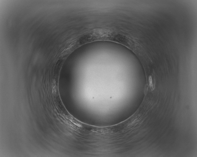 X0000050741203200506161518