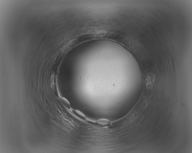X0000050741204200506161518