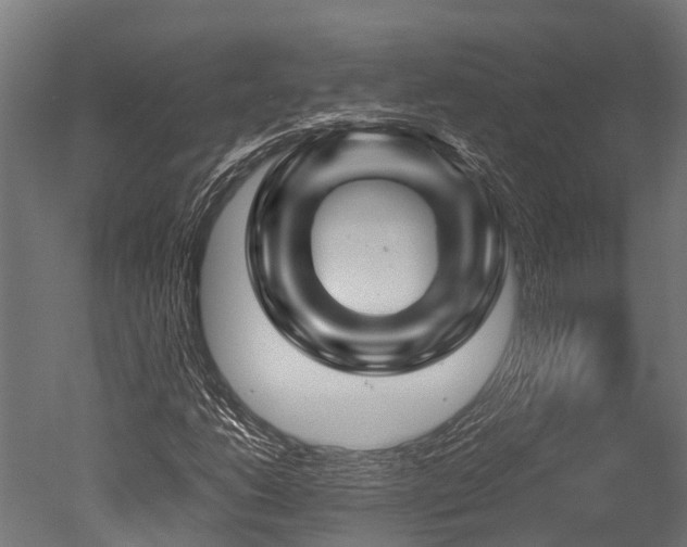 X0000050741206200506161518