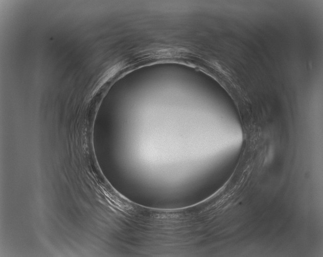 X0000050741211200506161518