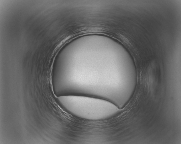 X0000050741212200506161518